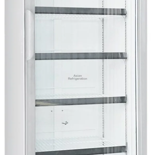 1 DOOR DISPLAY FREEZER