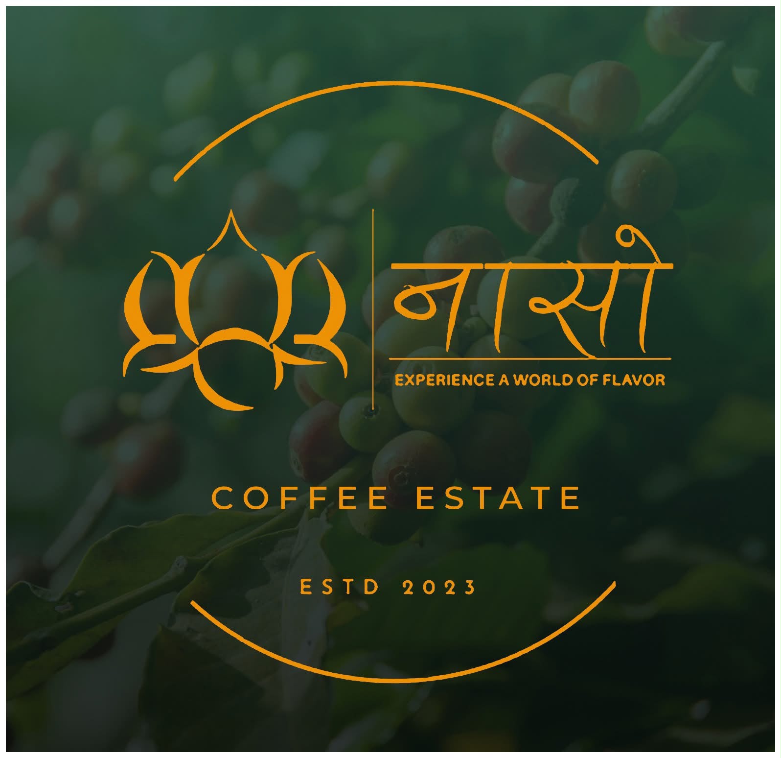 Naso Coffee Estate