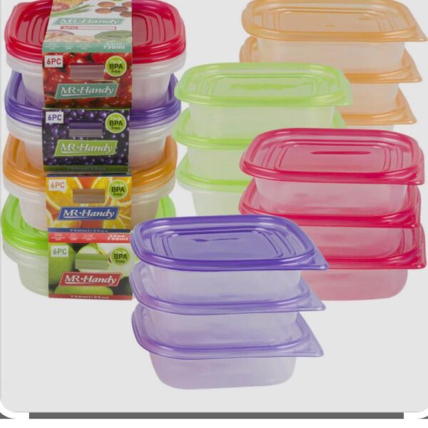 Plastic Food Storage Containers / Lunch Boxes