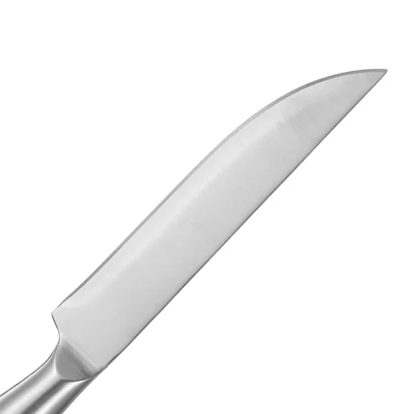 09 SS CHEF KNIFE SMAL